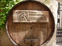 /album/kepgaleria-lettorszag-riga-seta-az-ovarosban/baltikum-oroszorszag-szentpetervar-finnorszag-1353-jpg/